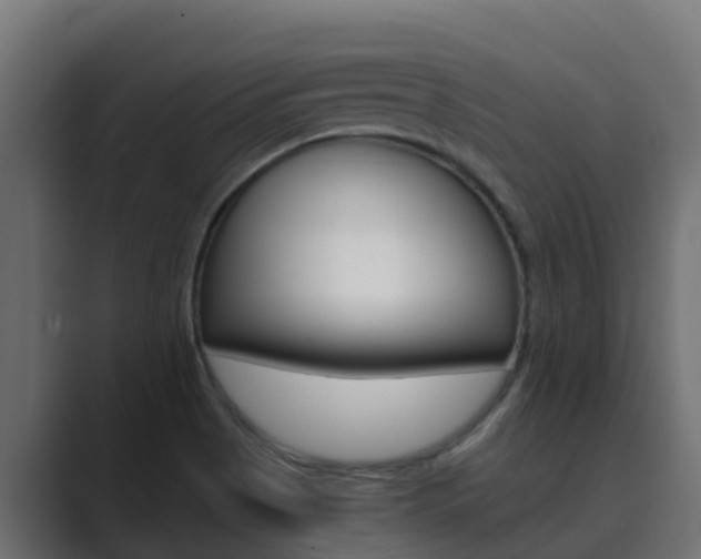 X0000089891513200706281100