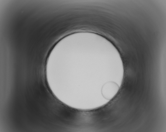 X0000089891514200706281100