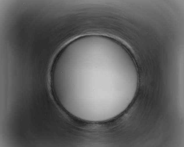 X0000089891517200706281100