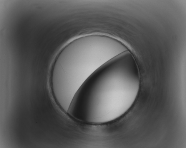 X0000089891518200706281100