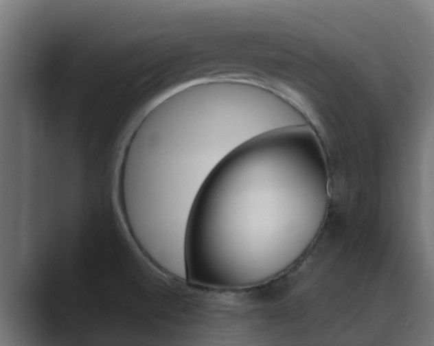 X0000089891520200706281100