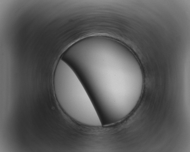X0000089891521200706281100