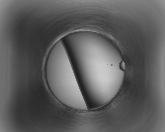 X0000089891522200706281100