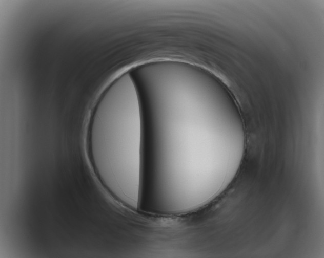 X0000089891523200706281100