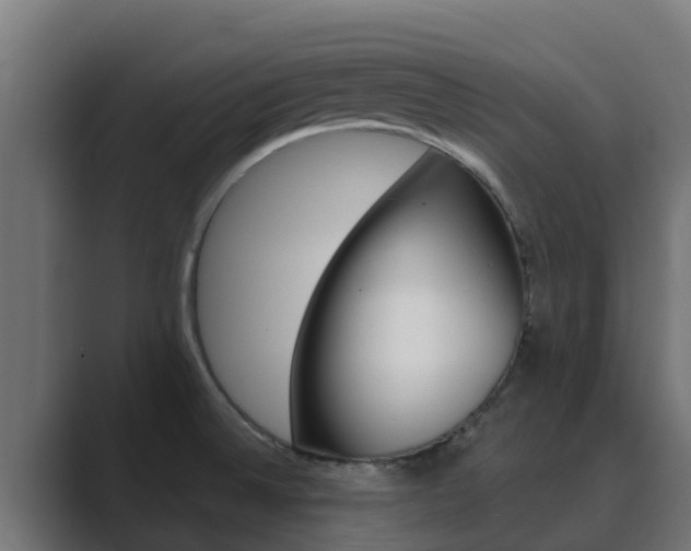 X0000089891524200706281100