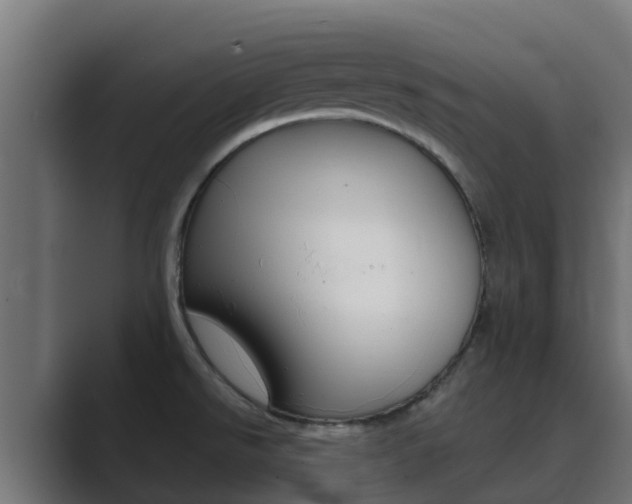X0000089891526200706281100
