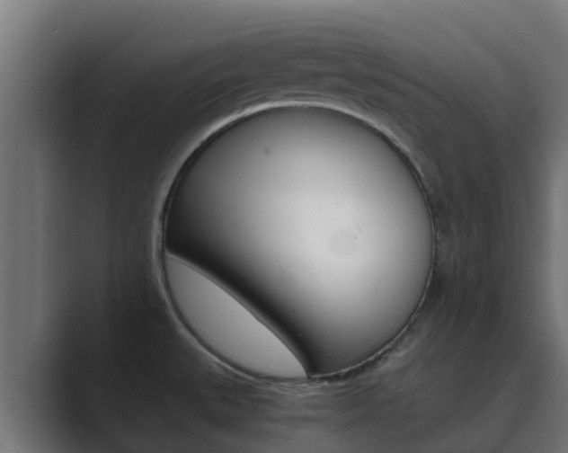 X0000089891527200706281100