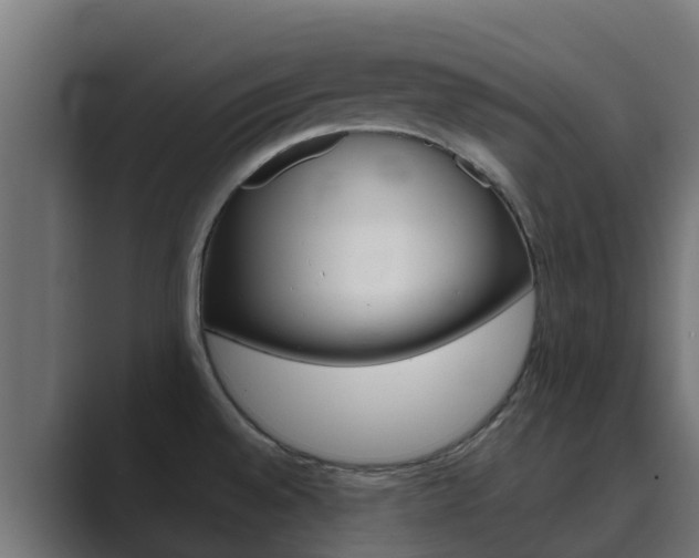 X0000089891528200706281100
