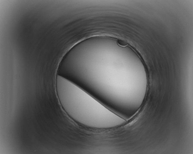 X0000089891529200706281100