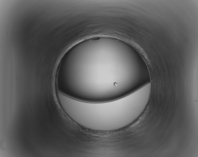 X0000089891530200706281100