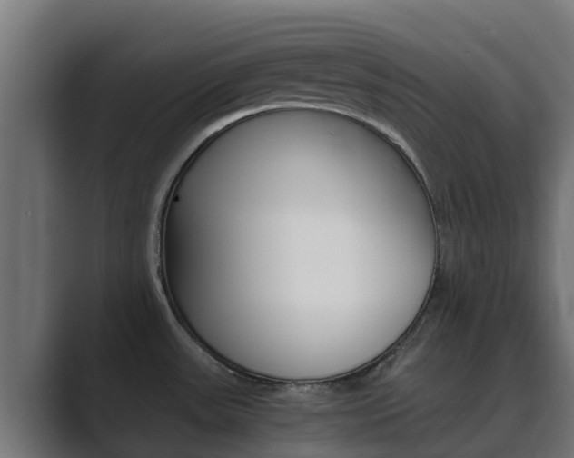 X0000089891531200706281100