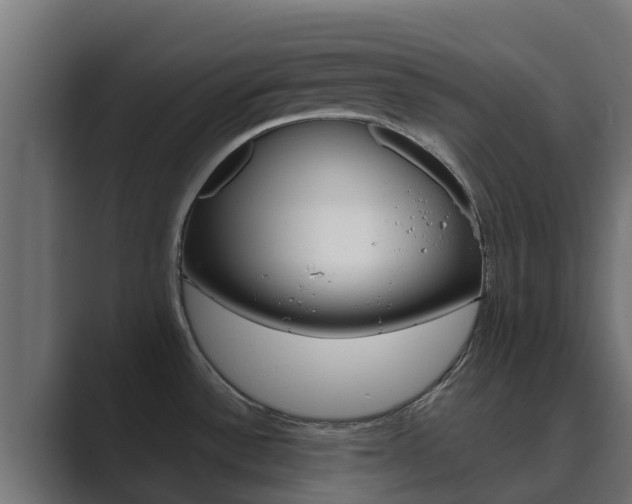 X0000089891532200706281100