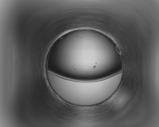 X0000089891534200706281100