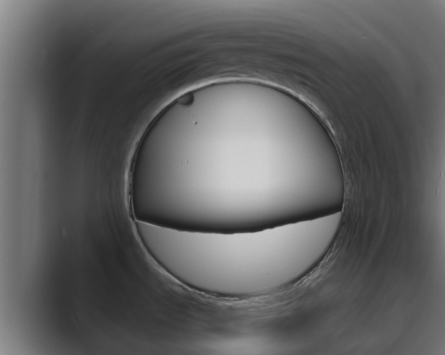 X0000089891535200706281100