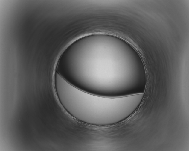 X0000089891536200706281100