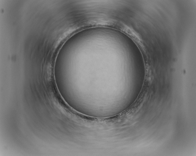 X0000089890012200706281426