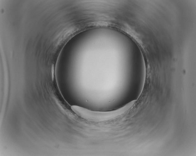 X0000089890013200706281426