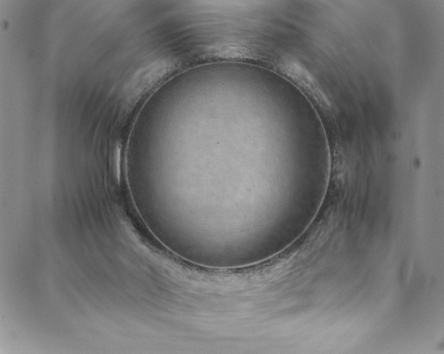 X0000089890014200706281426