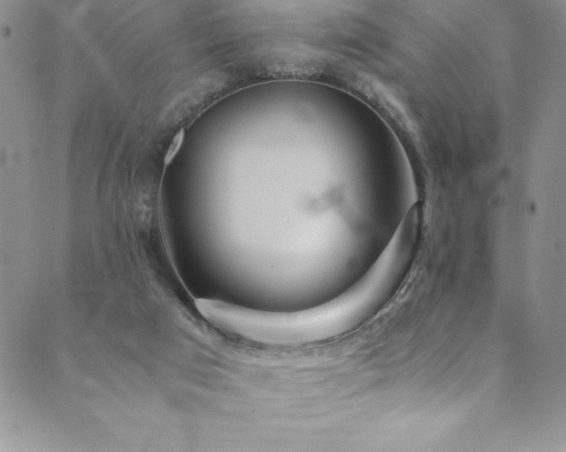 X0000089890017200706281426