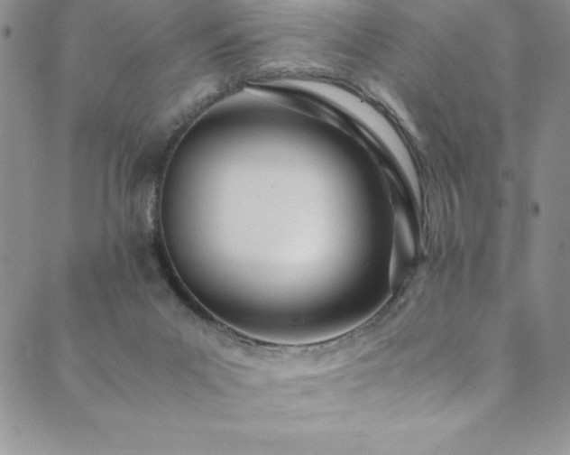 X0000089890023200706281426