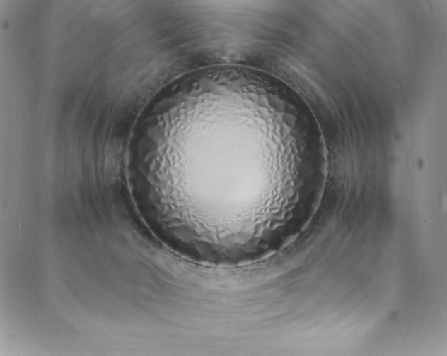 X0000089890030200706281426