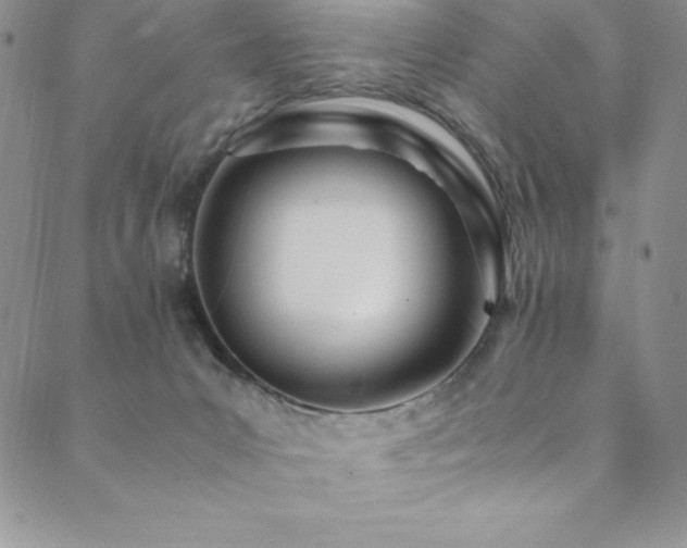 X0000089890031200706281426