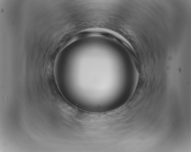 X0000089890037200706281425