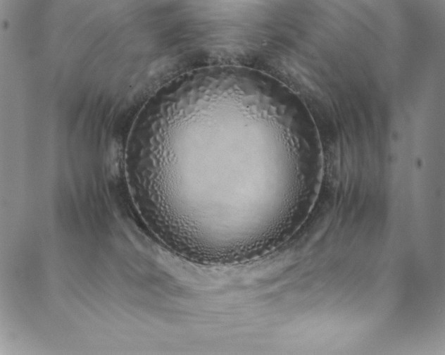 X0000089890038200706281425