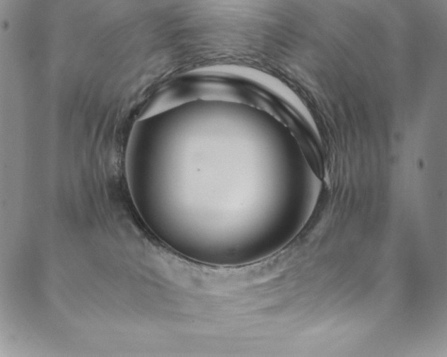 X0000089890039200706281425