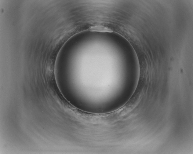 X0000089890040200706281425