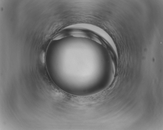X0000089890041200706281425