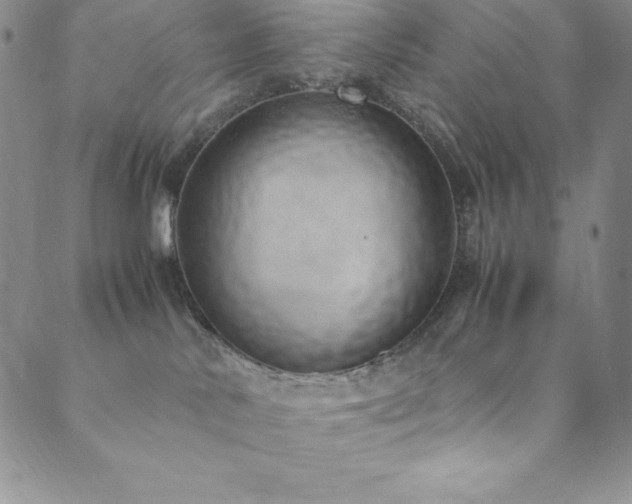 X0000089890042200706281425