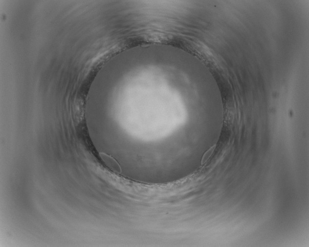X0000089890043200706281425
