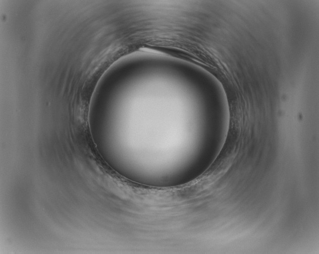 X0000089890044200706281425