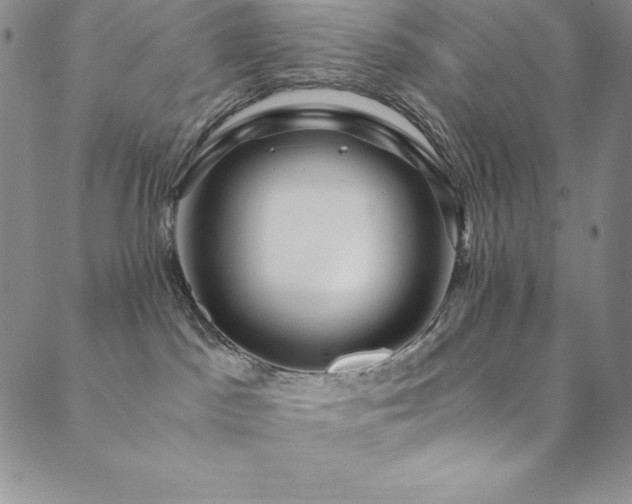 X0000089890045200706281425