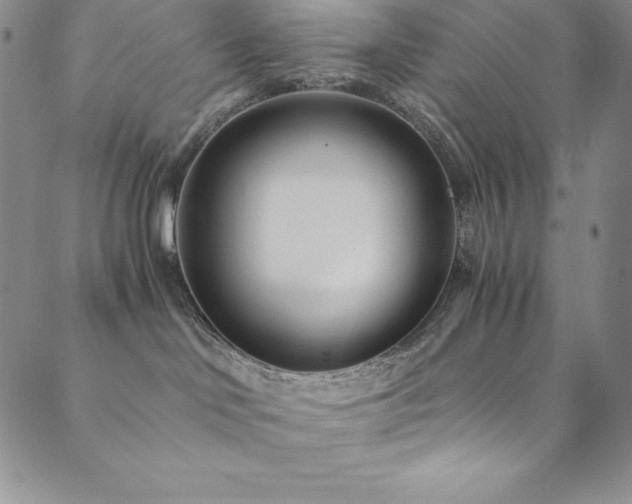 X0000089890046200706281425