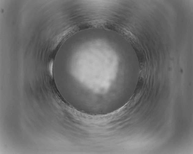 X0000089890047200706281425