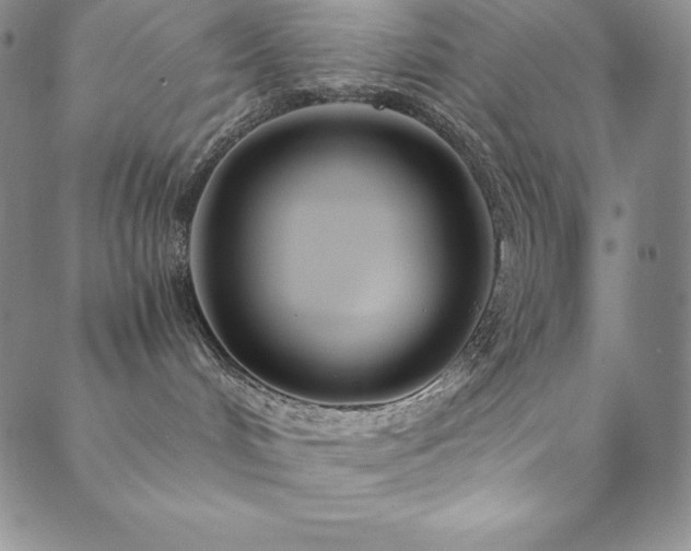 X0000089890048200706281425