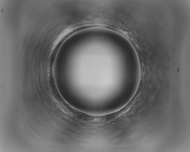 X0000089890056200706281425
