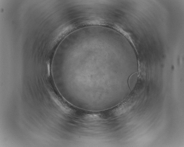 X0000089890061200706281425