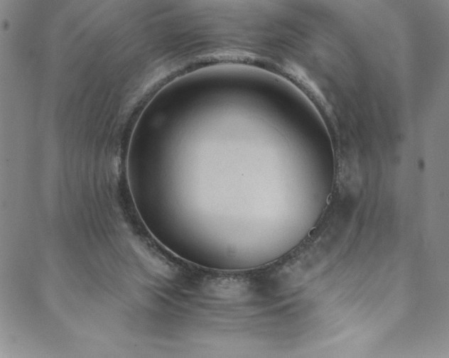 X0000089890063200706281425