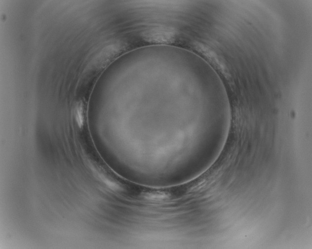X0000089890069200706281425