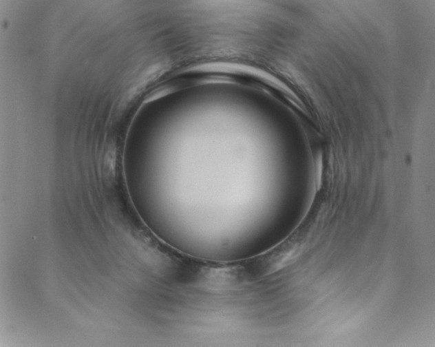 X0000089890072200706281425