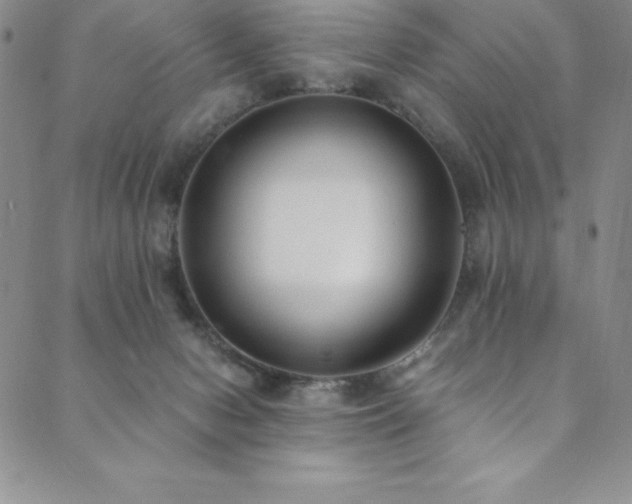 X0000089890078200706281425