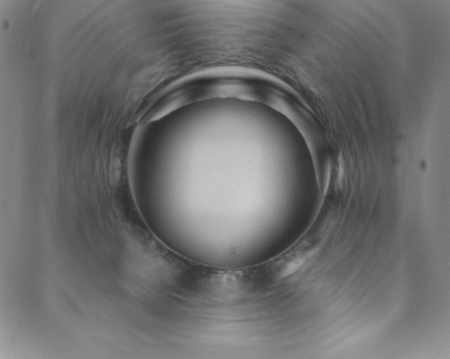 X0000089890080200706281425