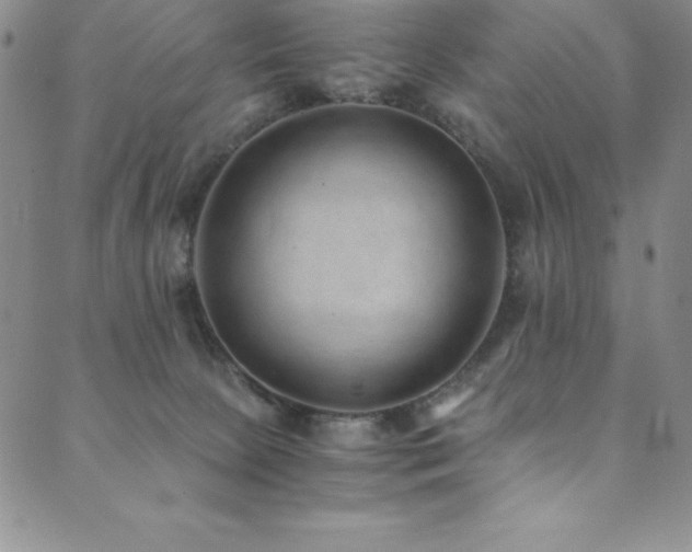 X0000089890081200706281425