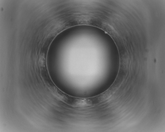 X0000089890083200706281425