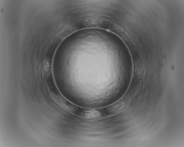 X0000089890087200706281425
