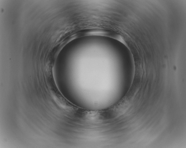 X0000089890088200706281425