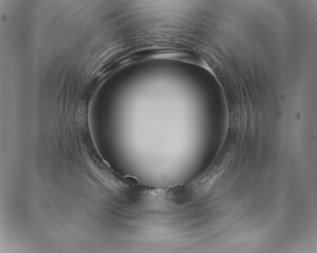X0000089890092200706281425